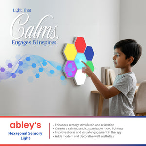 Abley's Hexagon Touch Wall Lights (Set of 6) | Modular LED Panels for Sensory Rooms Calming Decor | USB Rechargeable Touch-Activated