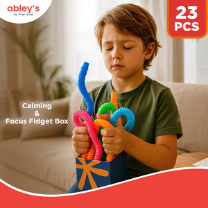Abley's Fidget Box | Mega Toolkit | 23-Piece Comprehensive Sensory Kit